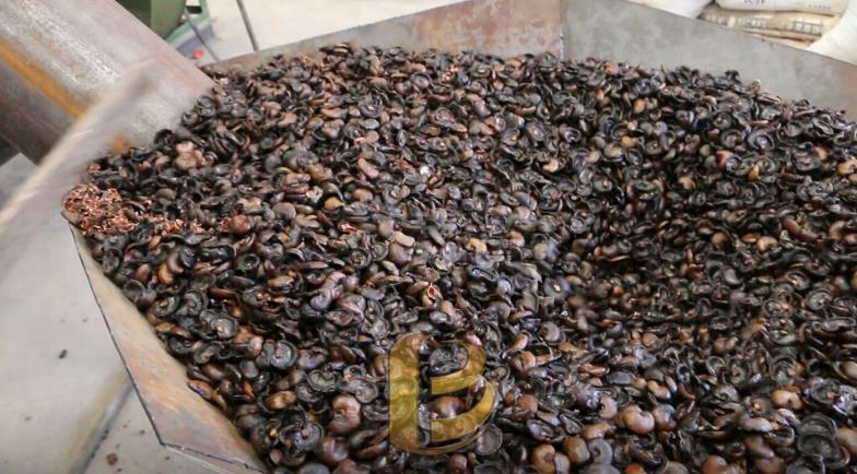 腰果壳和山核桃壳嘿嘿视频APP下载苹果为绿色果壳炭